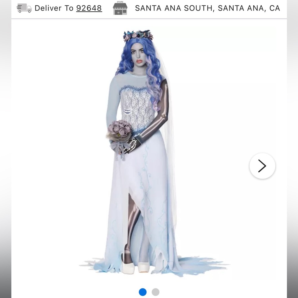 Spirit Corpse Bride Costume